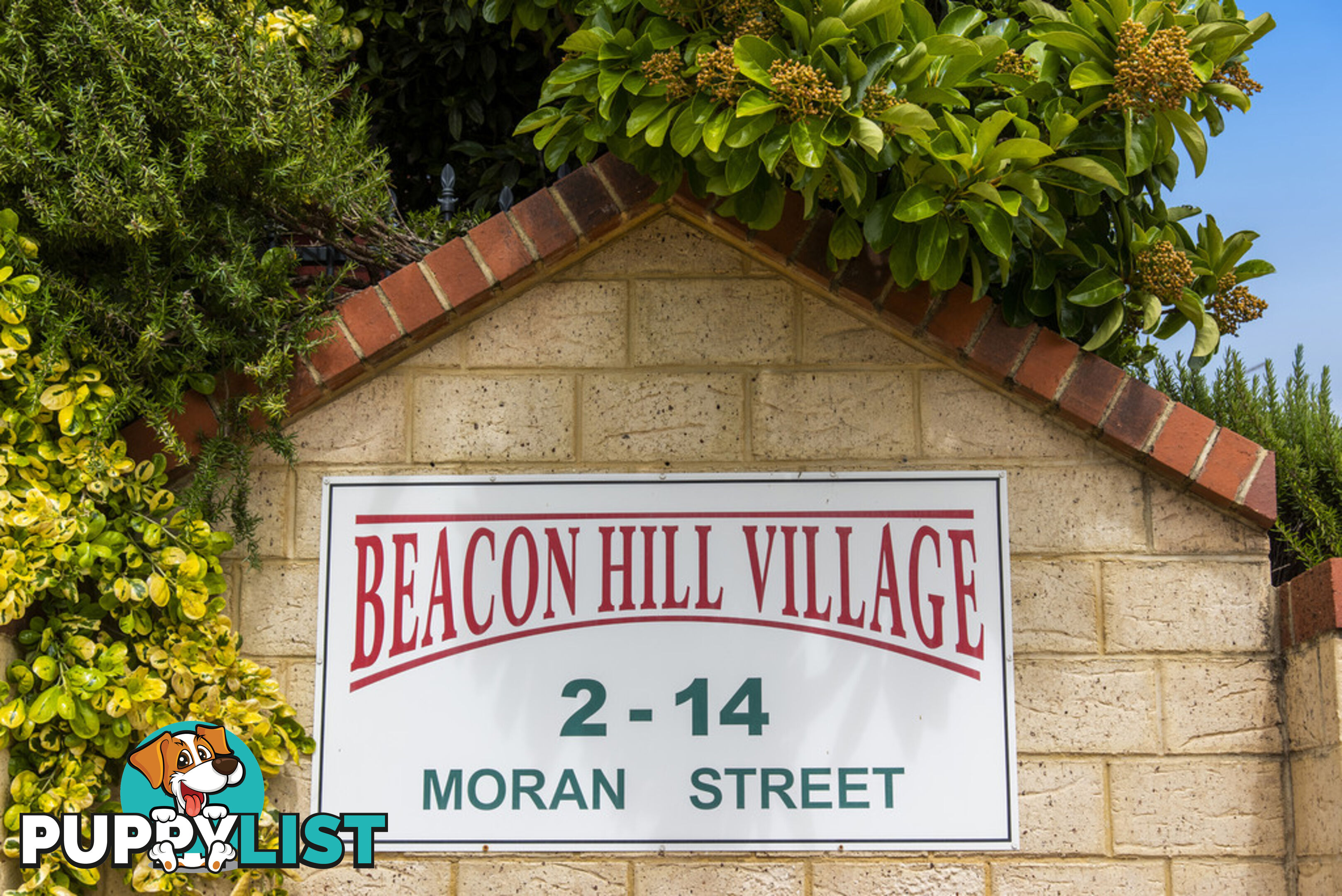 21 Moran Street BEACONSFIELD WA 6162