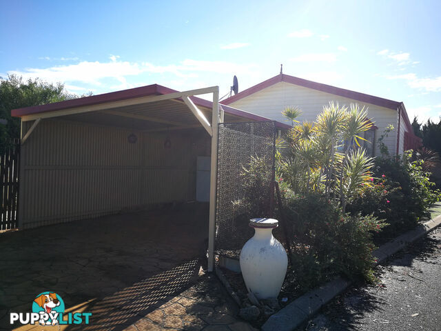 42D Ocean View Parade SOUTH FREMANTLE WA 6162