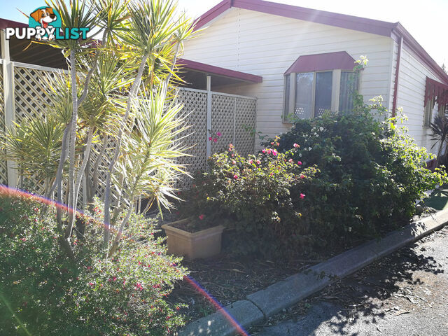 42D Ocean View Parade SOUTH FREMANTLE WA 6162