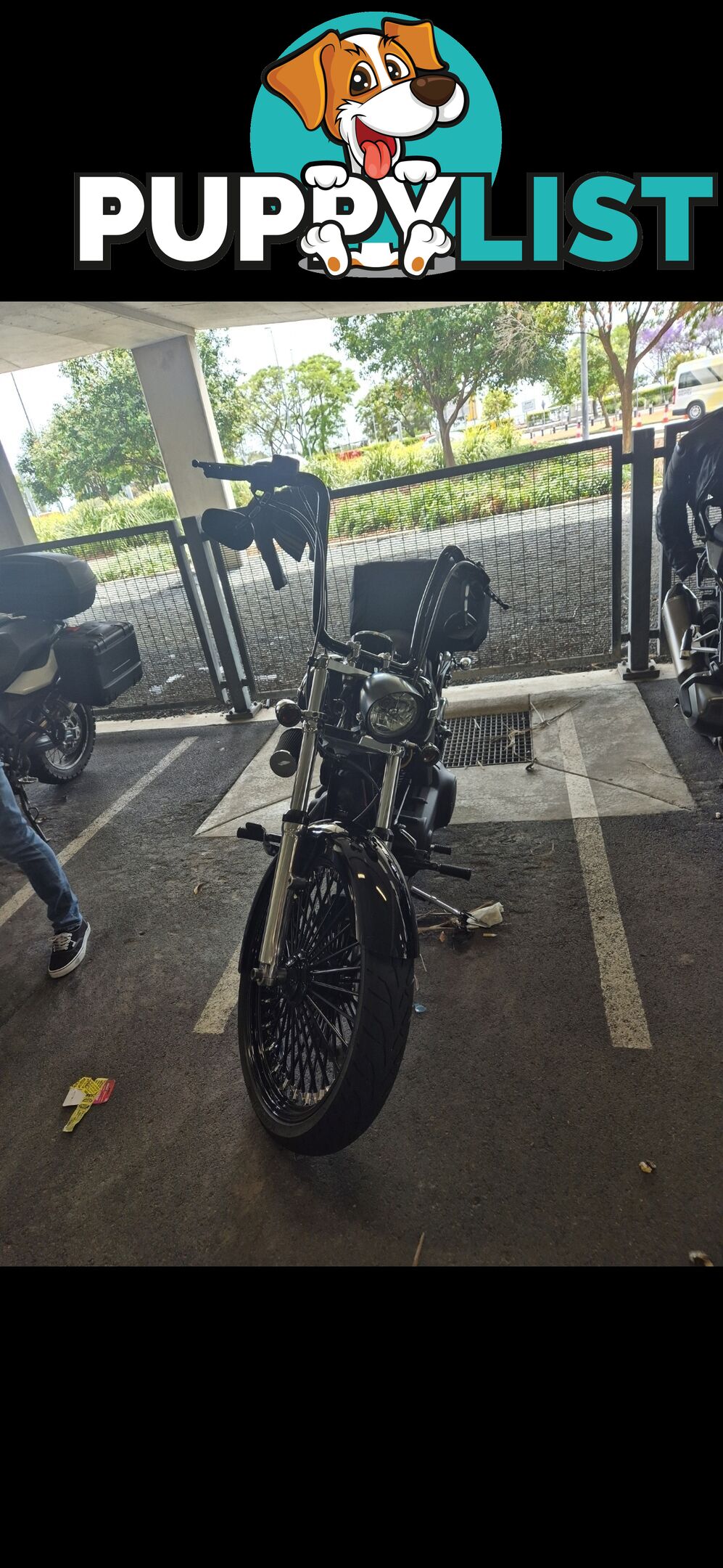 2008 Harley-Davidson Night Train 1584 (FXSTB)