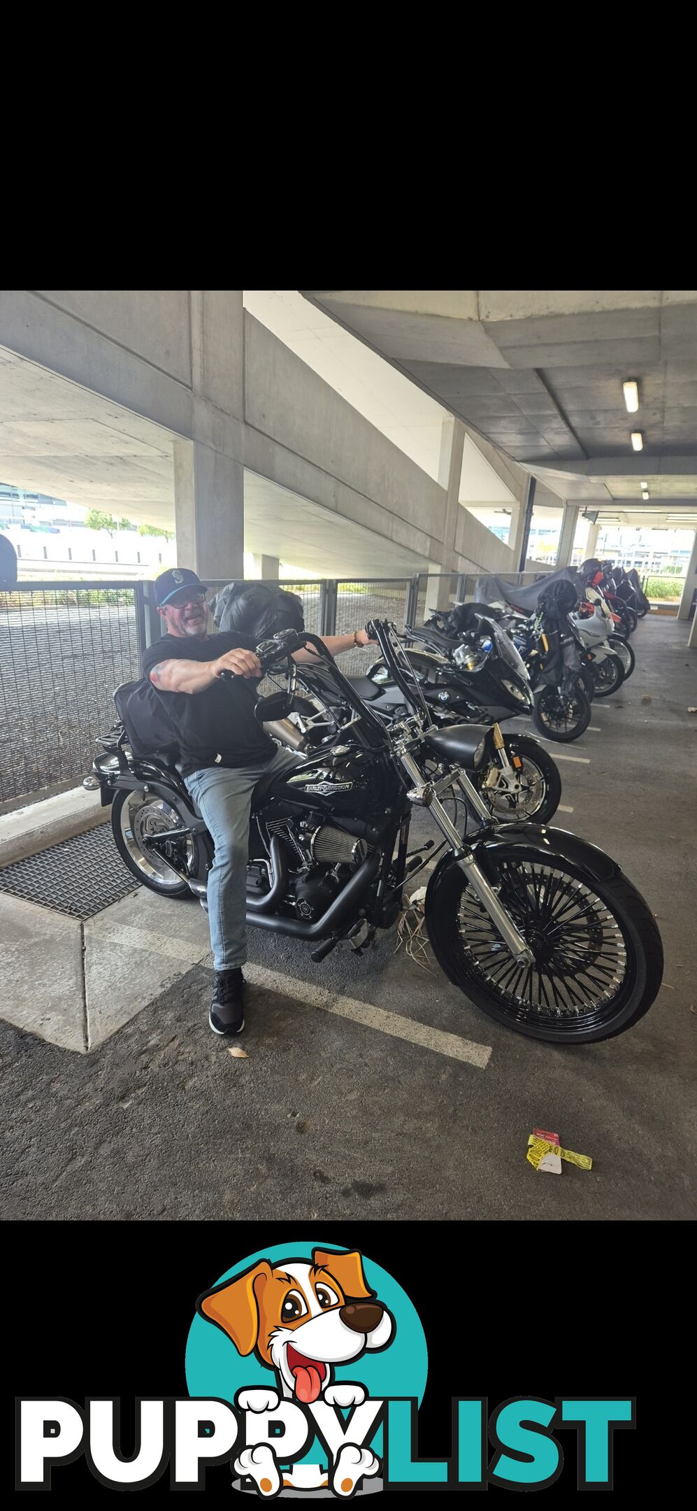 2008 Harley-Davidson Night Train 1584 (FXSTB)