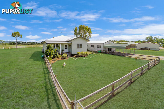 5 Greengum Court BLACK RIVER QLD 4818