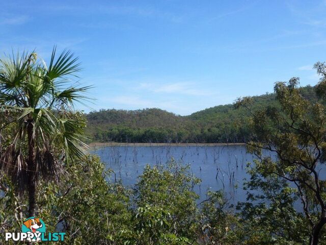 445 Chinner Road LAKE BENNETT NT 0822