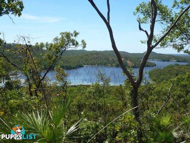 445 Chinner Road LAKE BENNETT NT 0822