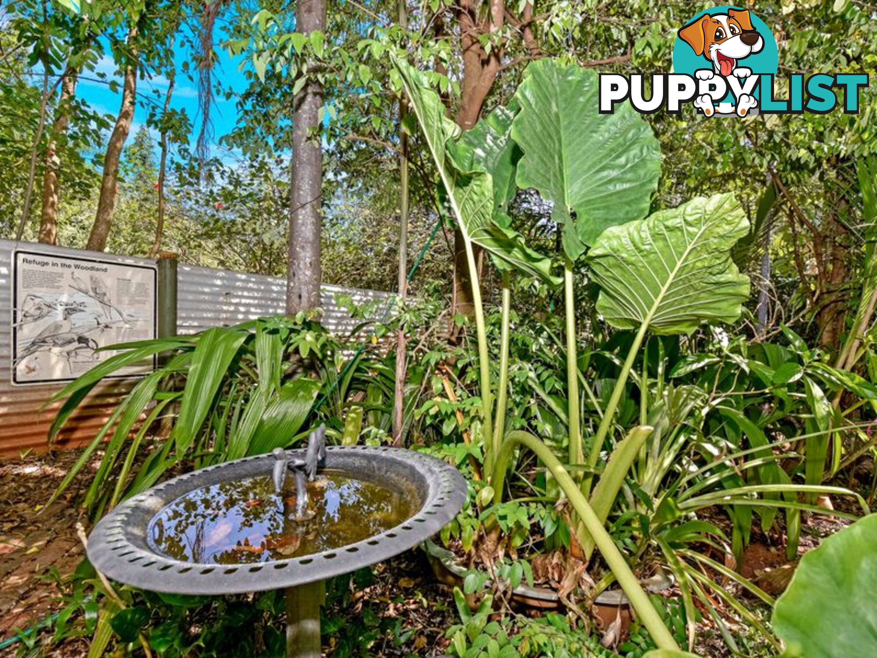29 Wandaree Street BATCHELOR NT 0845