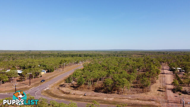 36 Bandicoot Road BERRY SPRINGS NT 0838