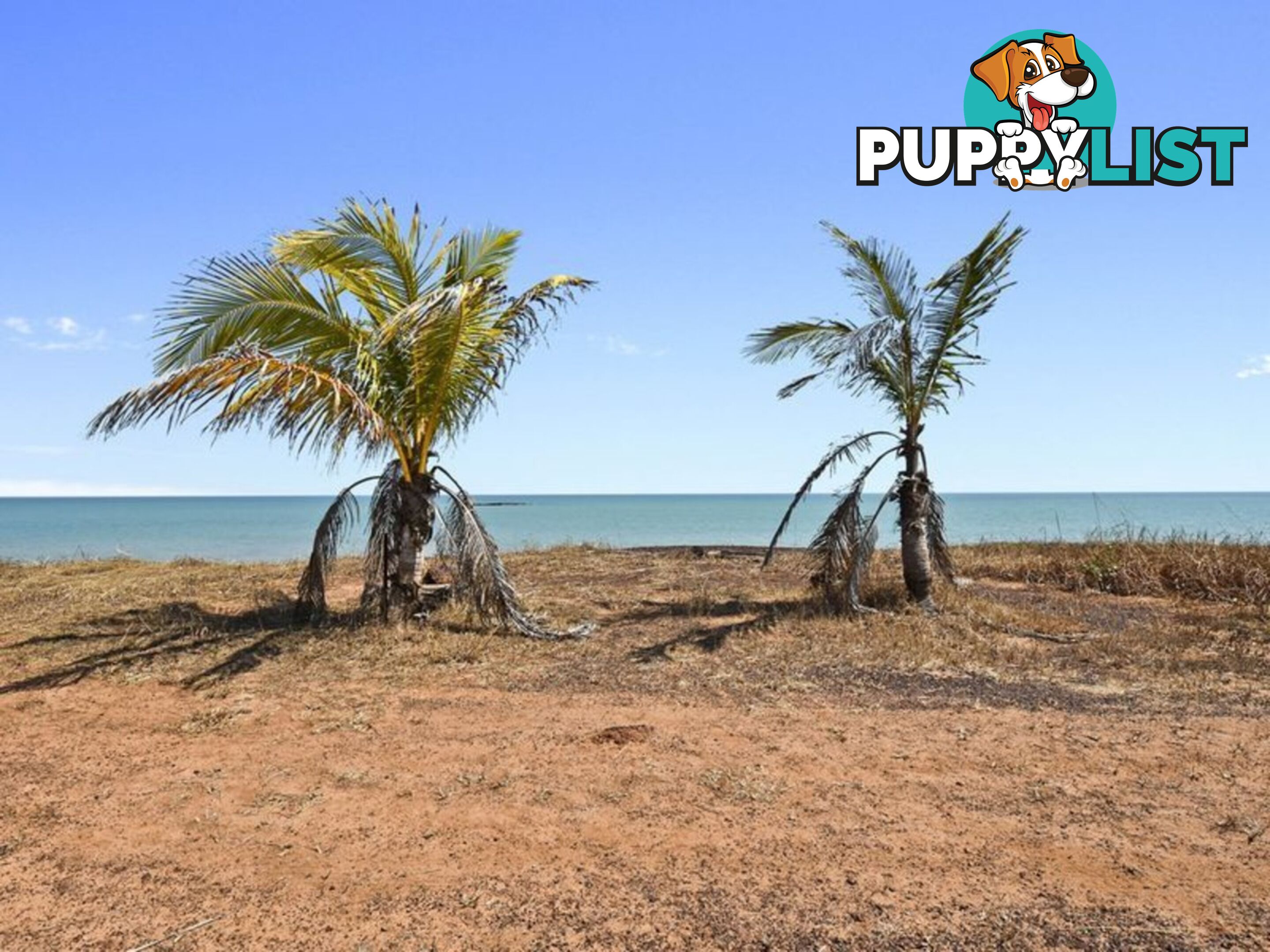 360 Mermaid Circuit DUNDEE BEACH NT 0840