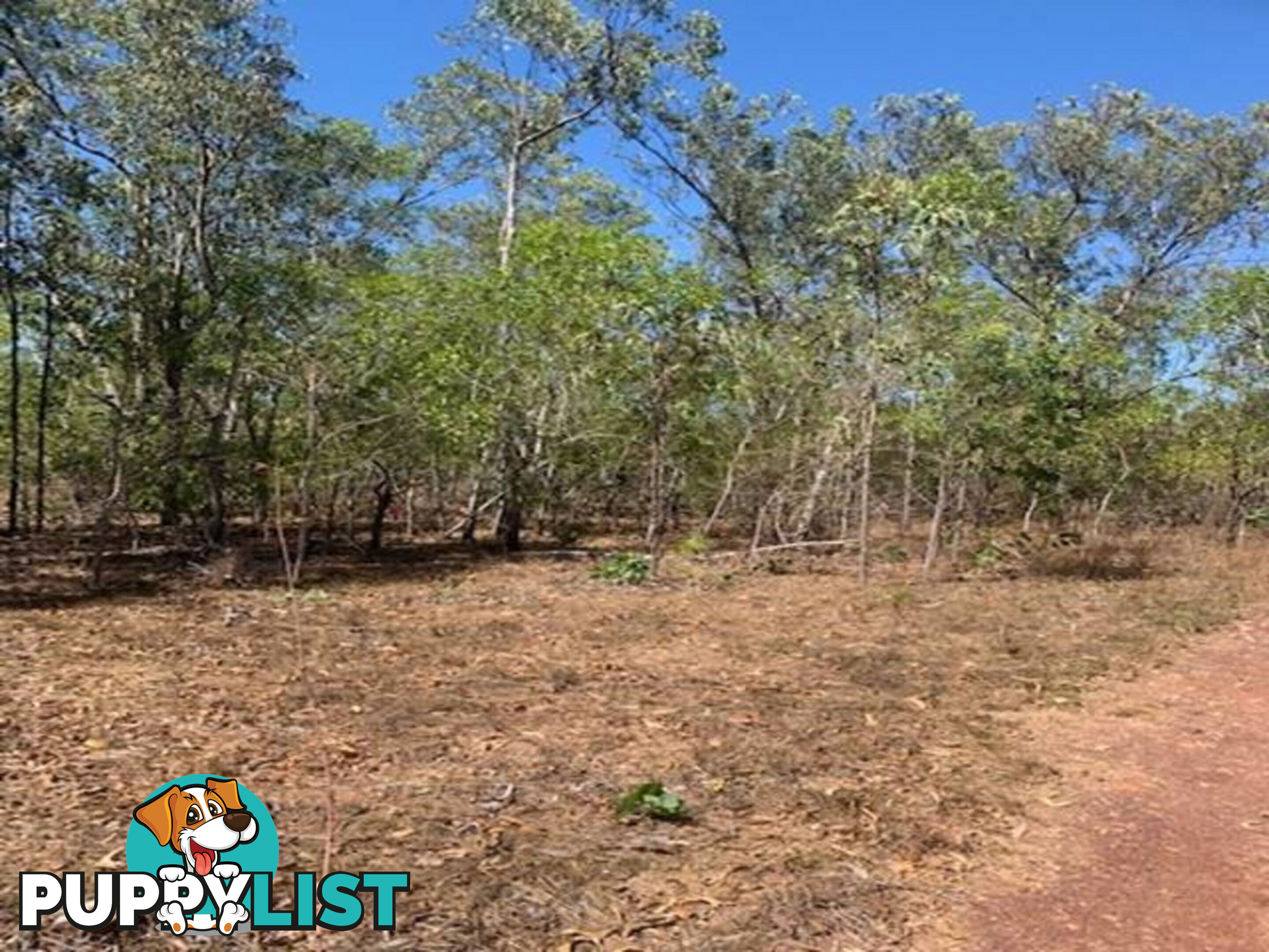 16 Joseph Court WAGAIT BEACH NT 0822