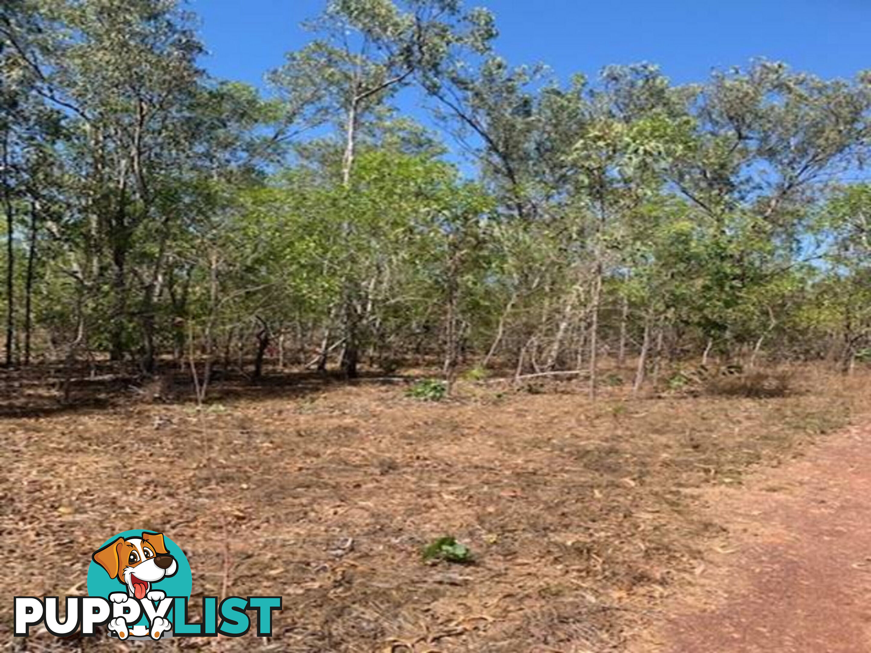 16 Joseph Court WAGAIT BEACH NT 0822