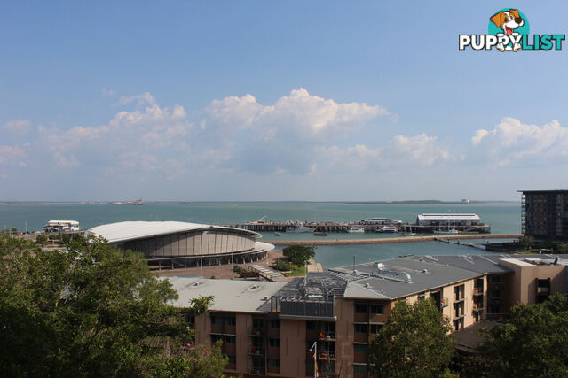 7/13 Esplanade DARWIN CITY NT 0800