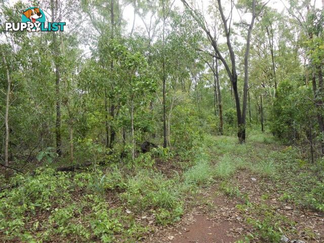 16 Head Court WAGAIT BEACH NT 0822