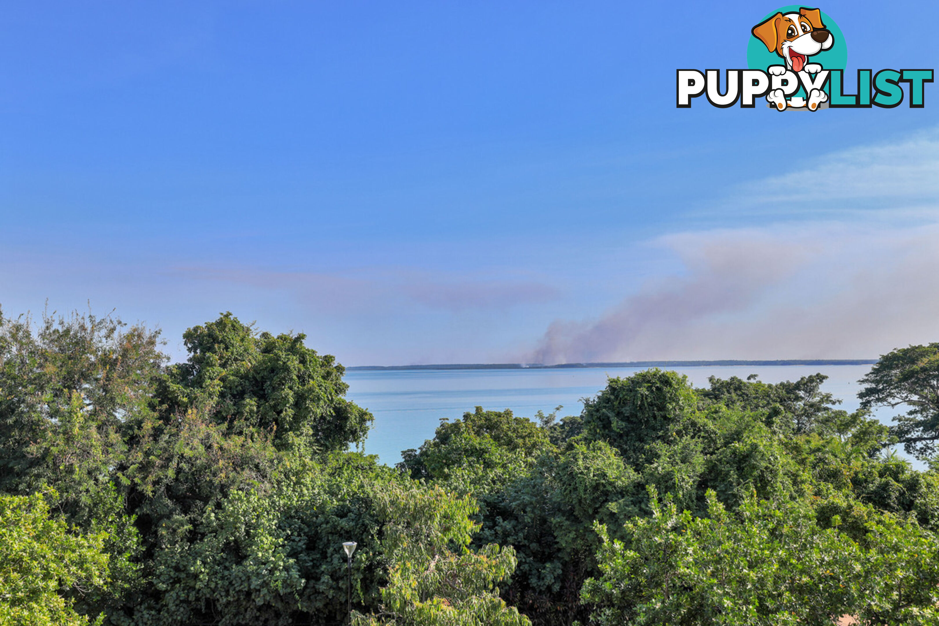 303/102 The Esplanade DARWIN CITY NT 0800