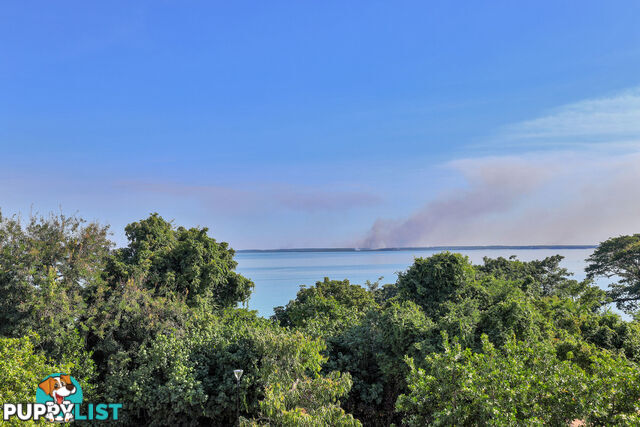 303/102 The Esplanade DARWIN CITY NT 0800