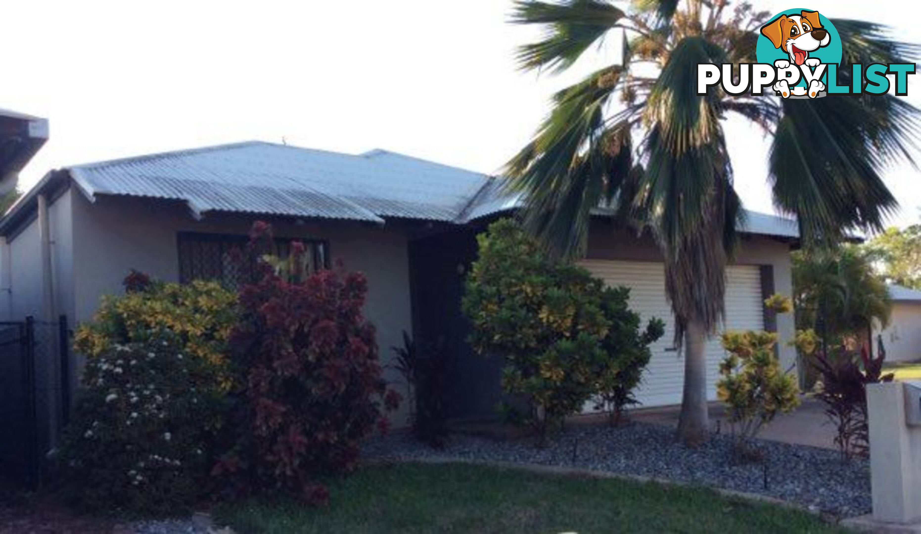 3 Wyonga Court  NT 0832