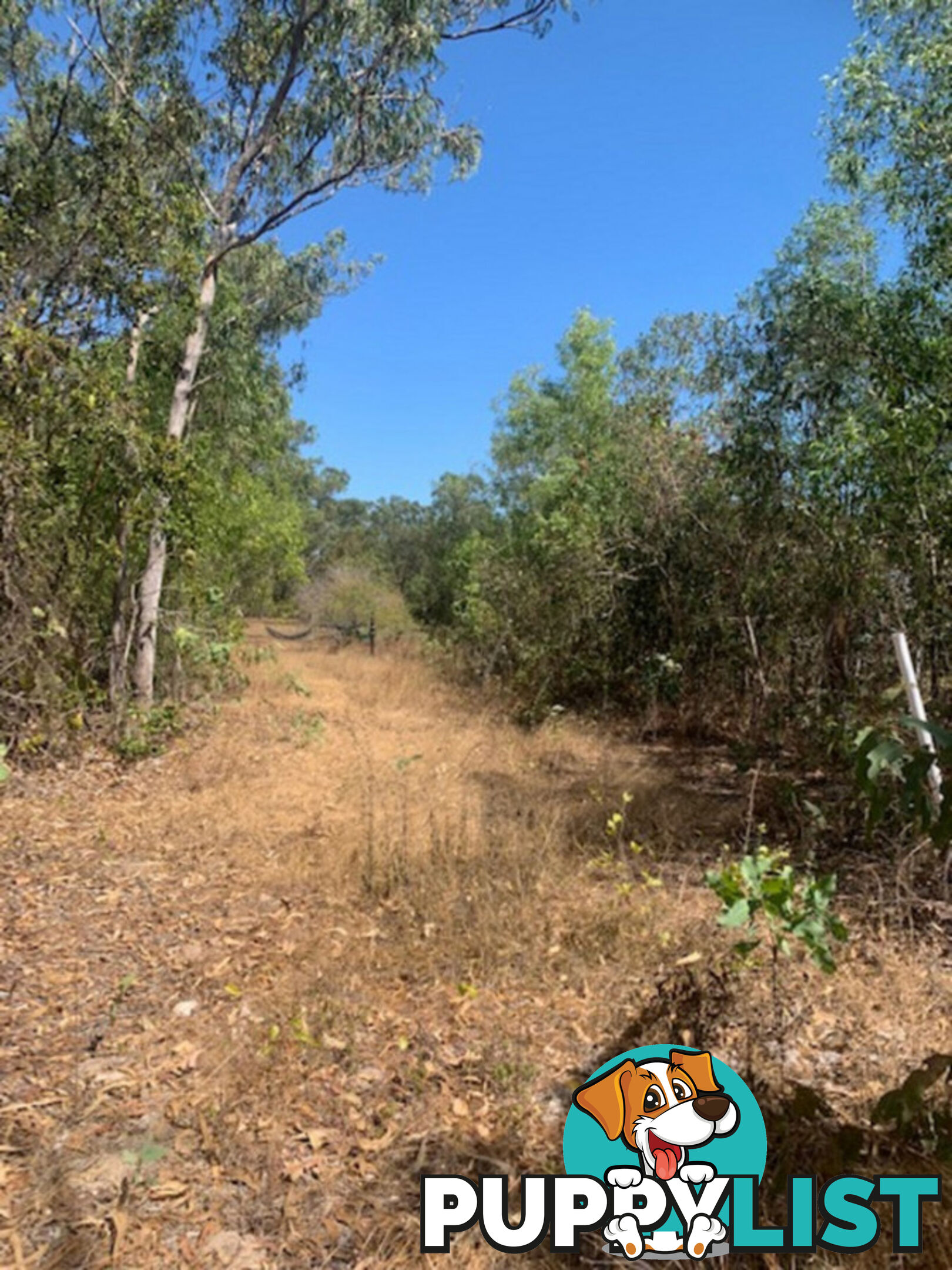 6 Boom Place WAGAIT BEACH NT 0822