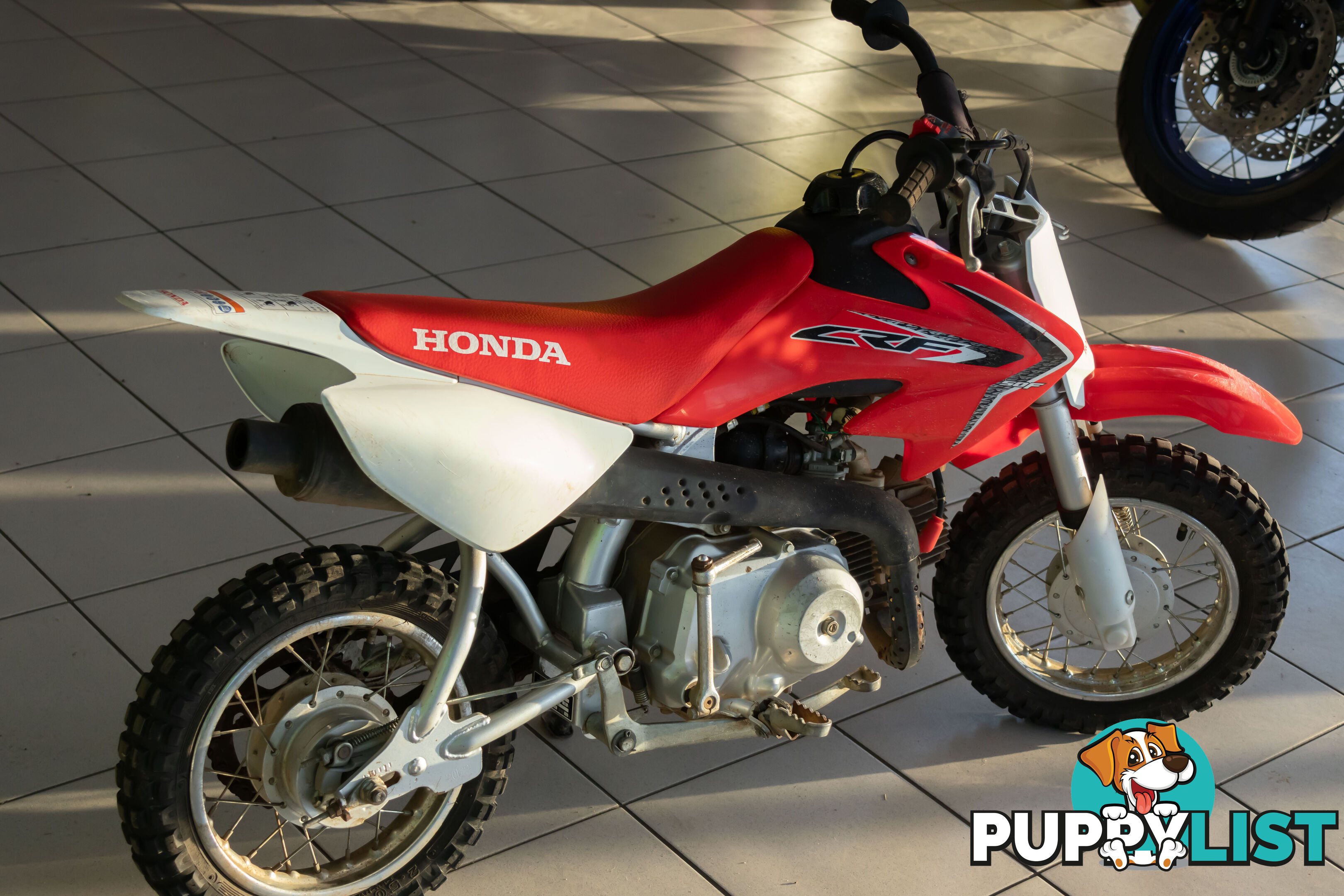 2021 Honda CRF50F 