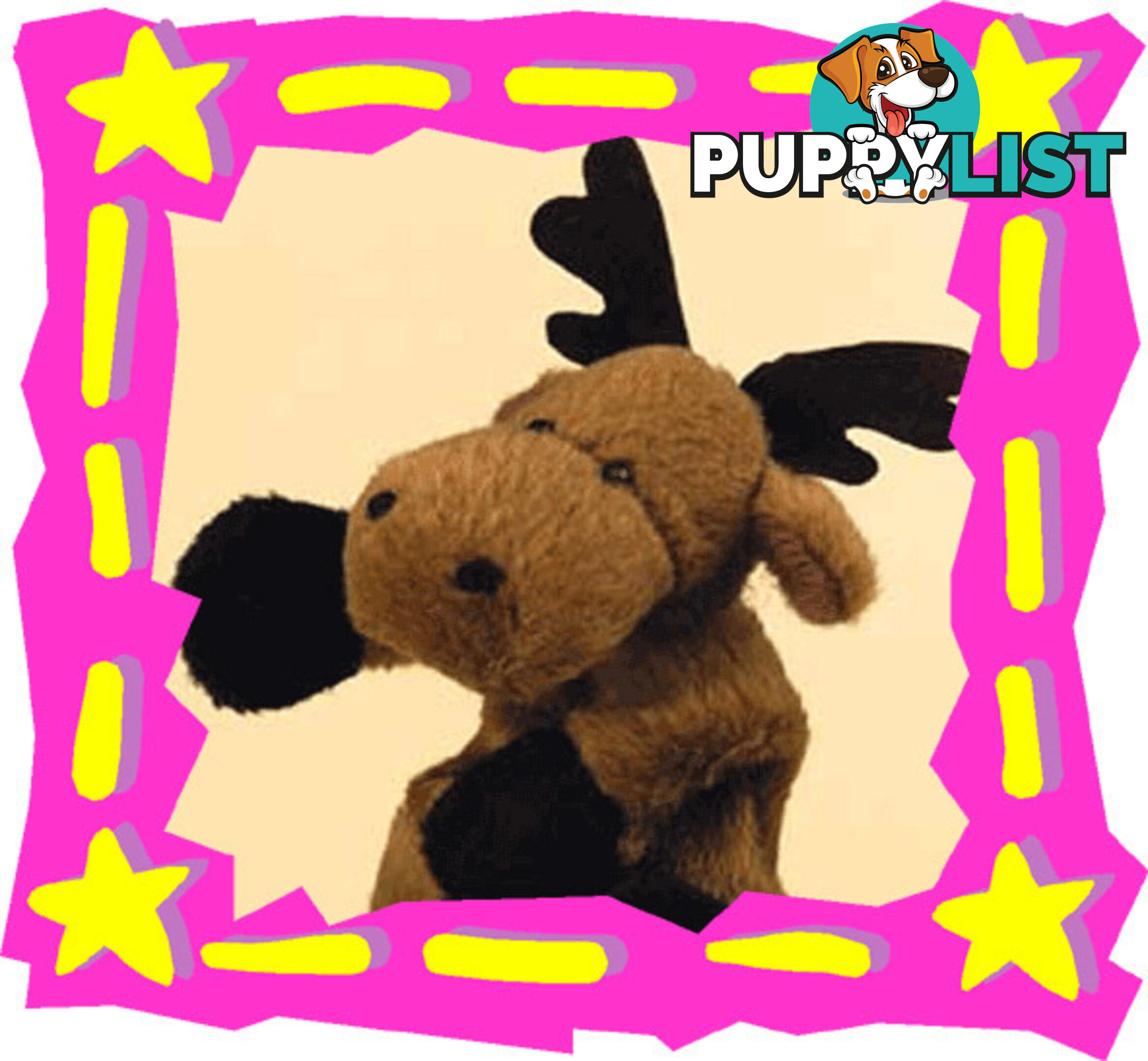 Moose    'Rudi' - Pillitaps