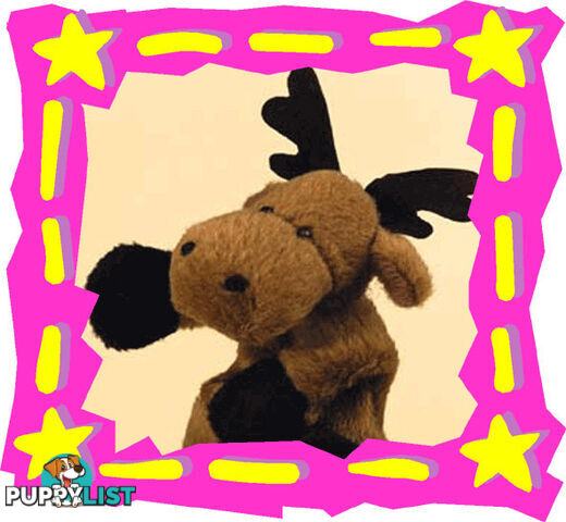 Moose    'Rudi' - Pillitaps