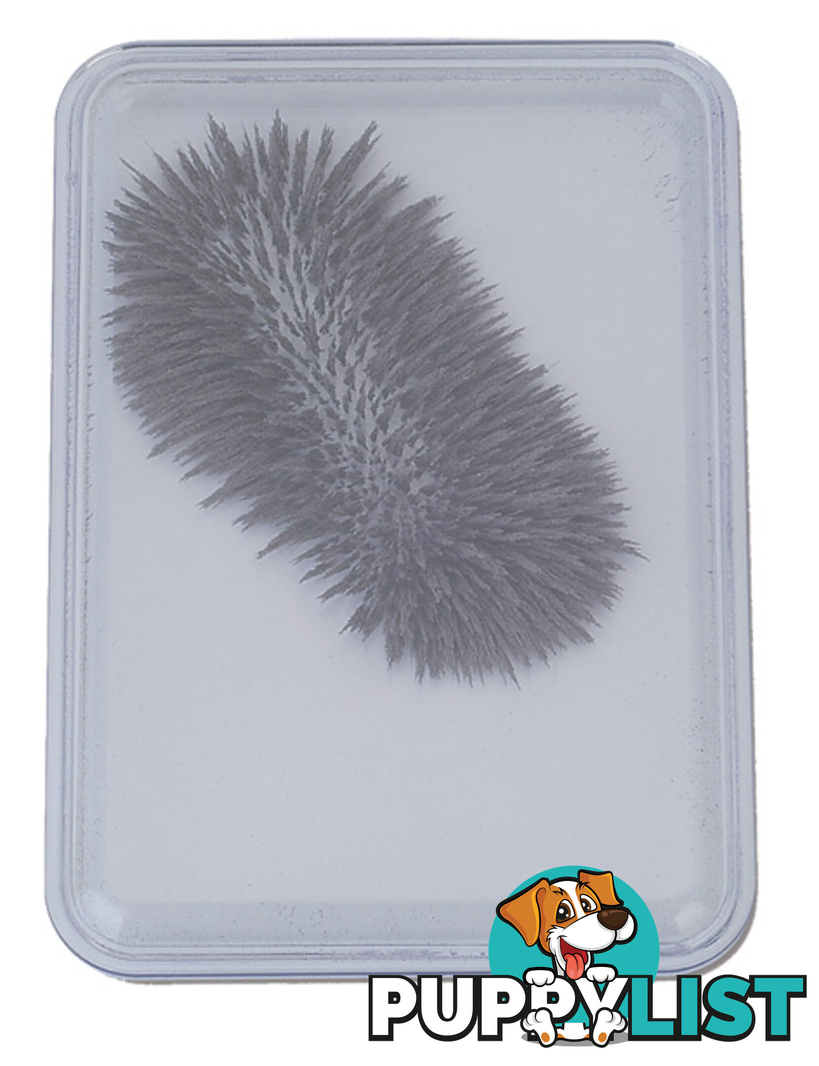 Iron Filings in Bubble Case - Popular Playthings