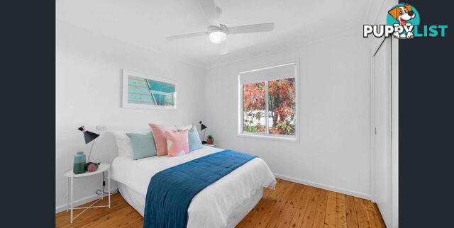 16 Raymond Terrace TERRIGAL NSW 2260