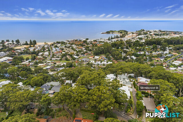 58 Hillcrest Street TERRIGAL NSW 2260