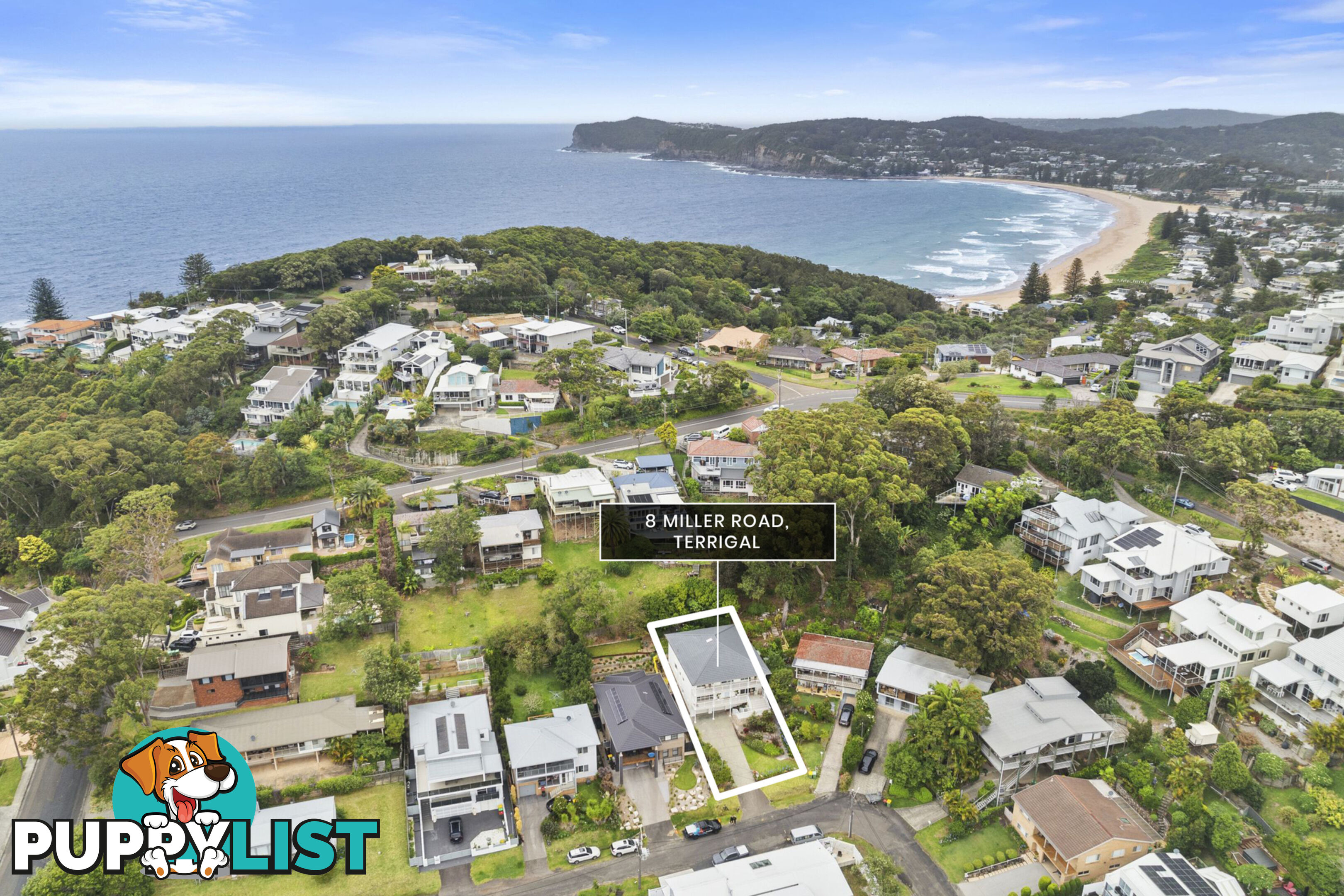 8 Miller Road TERRIGAL NSW 2260