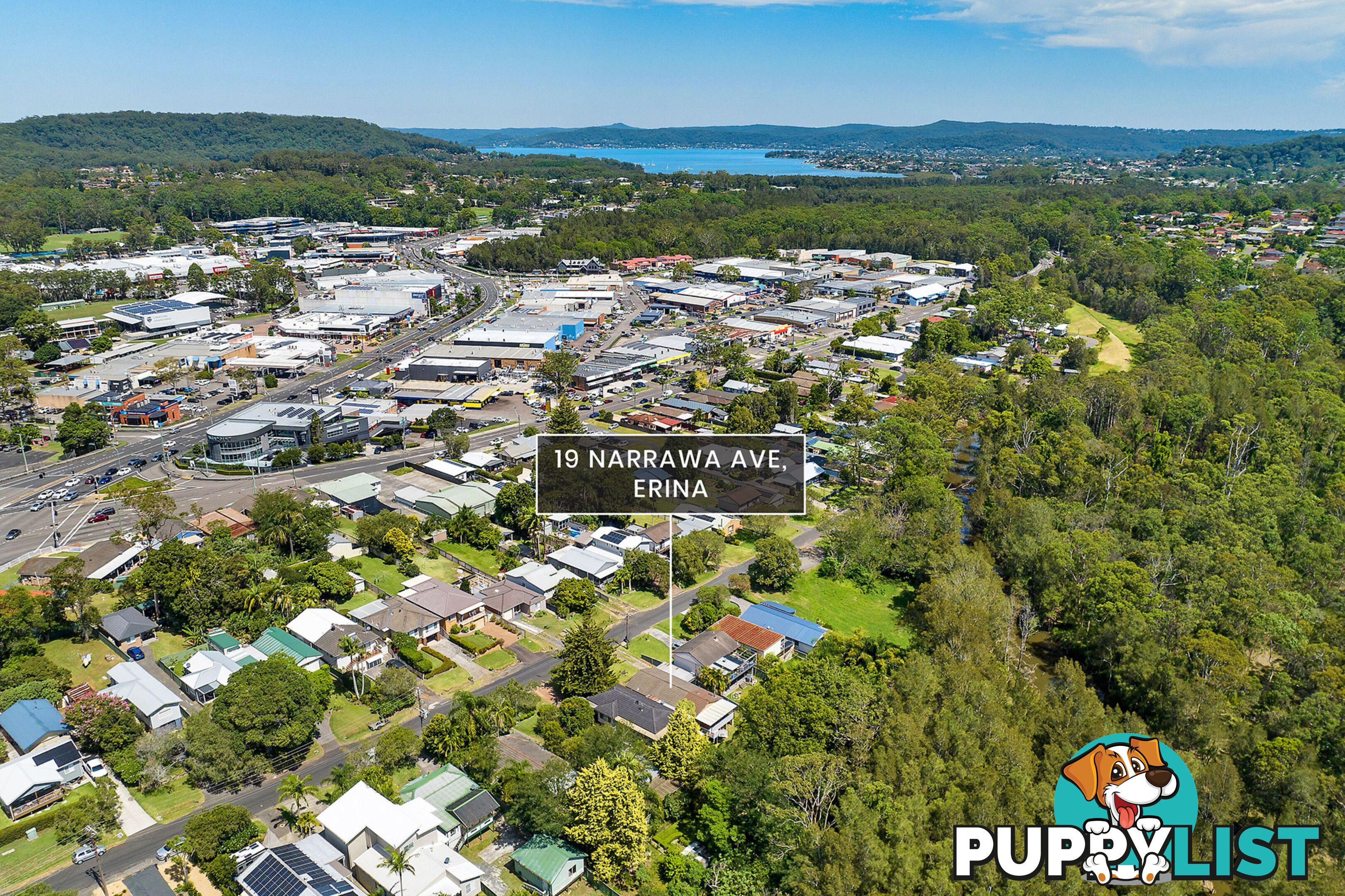 19 Narrawa Avenue ERINA NSW 2250