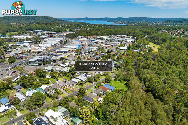 19 Narrawa Avenue ERINA NSW 2250