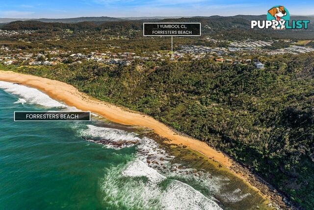 1 Yumbool Close FORRESTERS BEACH NSW 2260