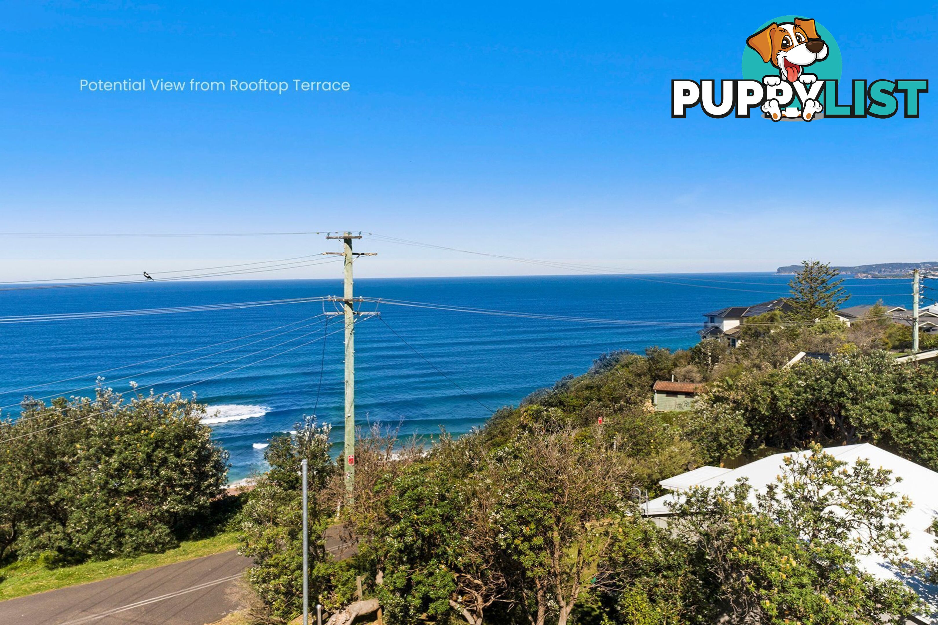 1 Yumbool Close FORRESTERS BEACH NSW 2260