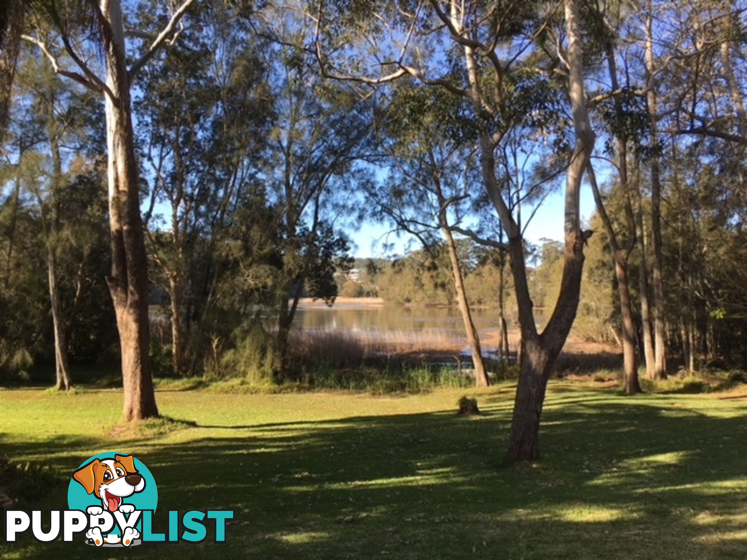 18 Lake Shore Drive NORTH AVOCA NSW 2260