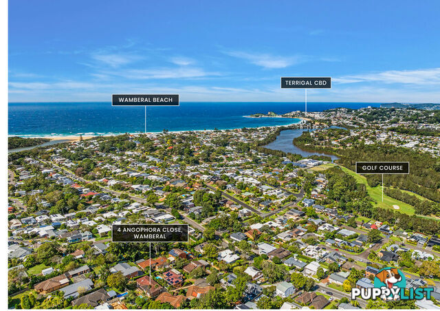 4 Angophora Close WAMBERAL NSW 2260