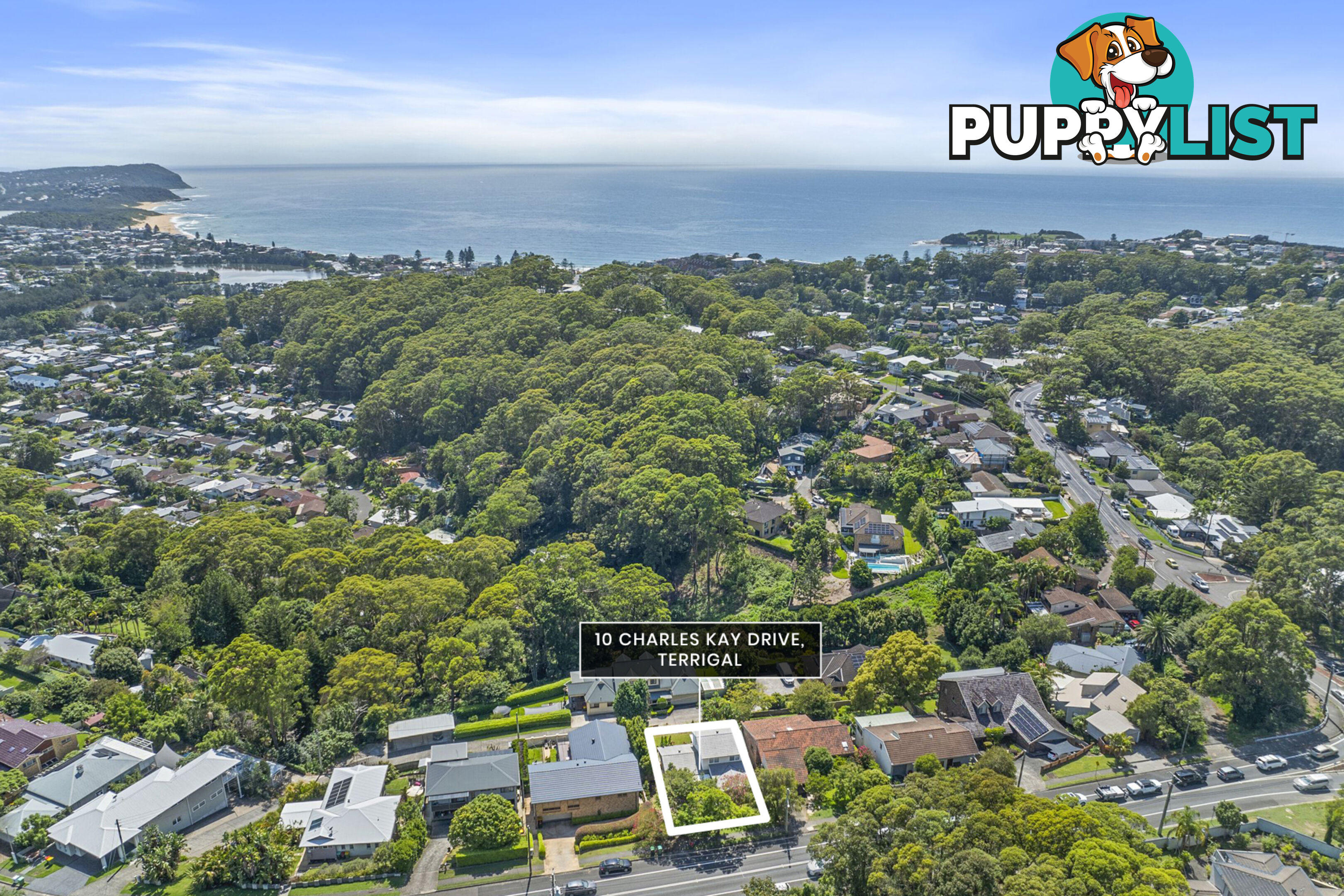 10 Charles Kay Drive TERRIGAL NSW 2260