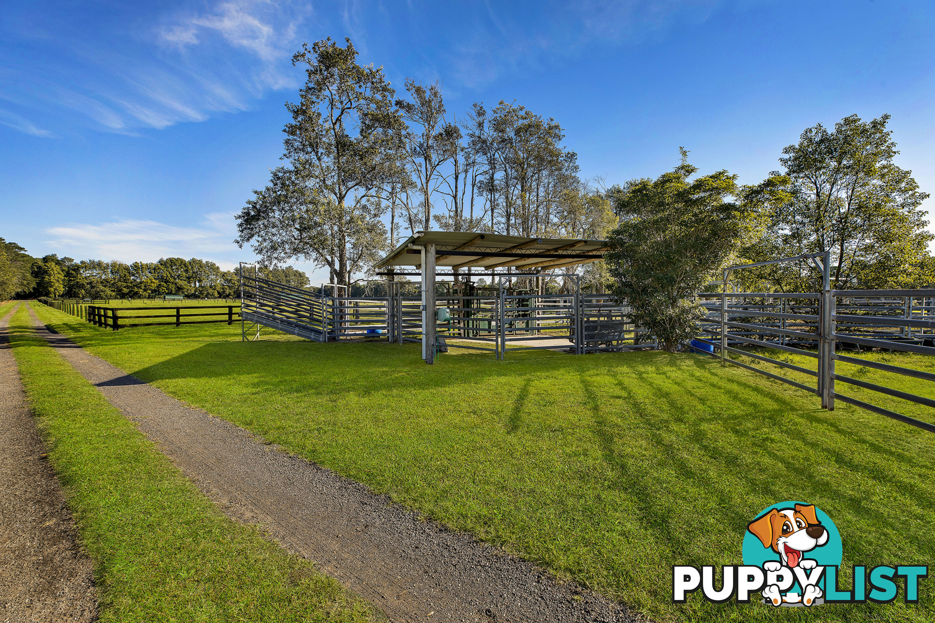 45 Lackersteens Road SOMERSBY NSW 2250