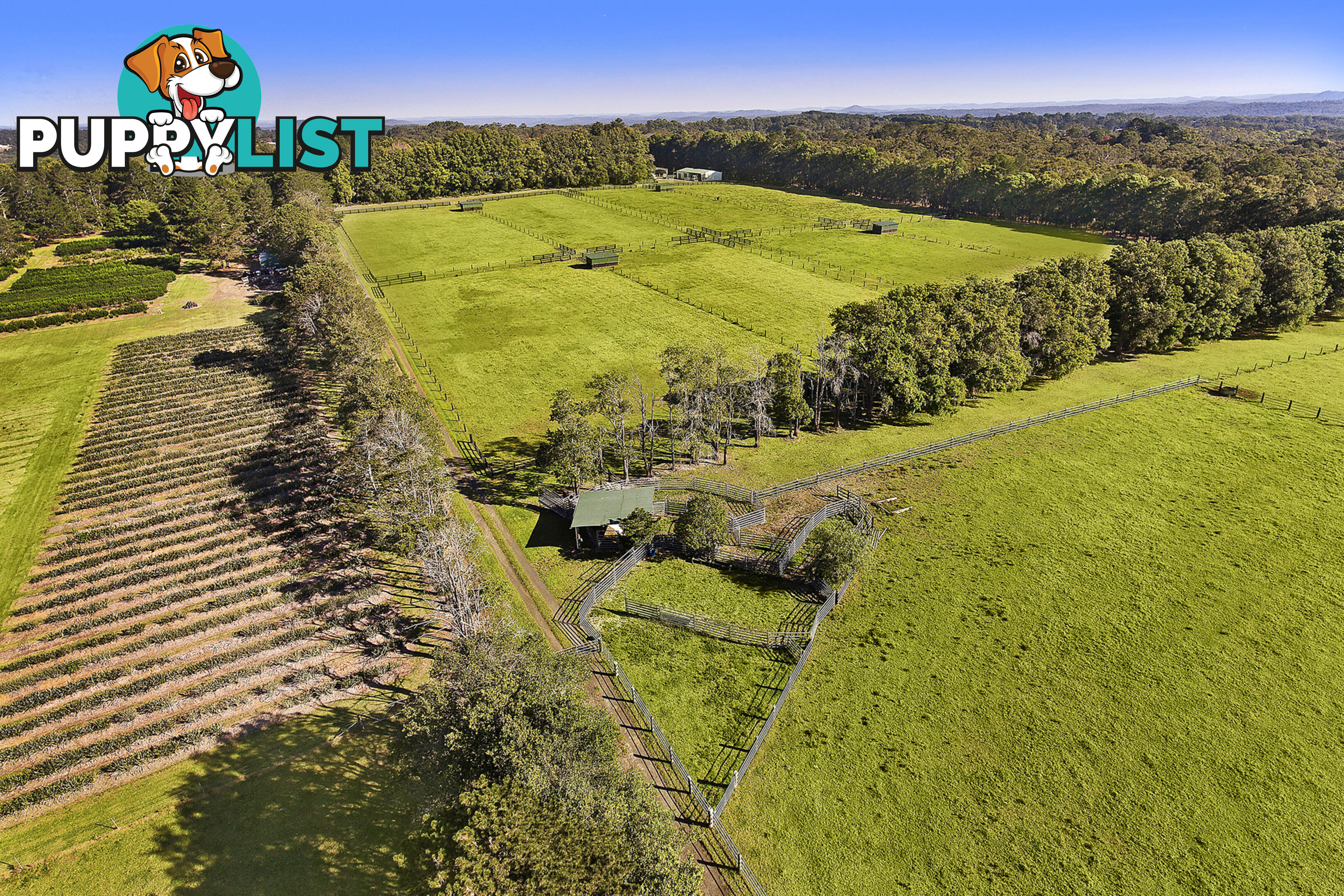 45 Lackersteens Road SOMERSBY NSW 2250