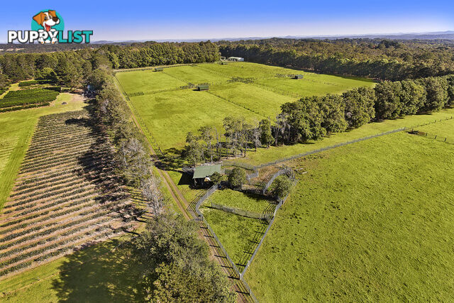 45 Lackersteens Road SOMERSBY NSW 2250