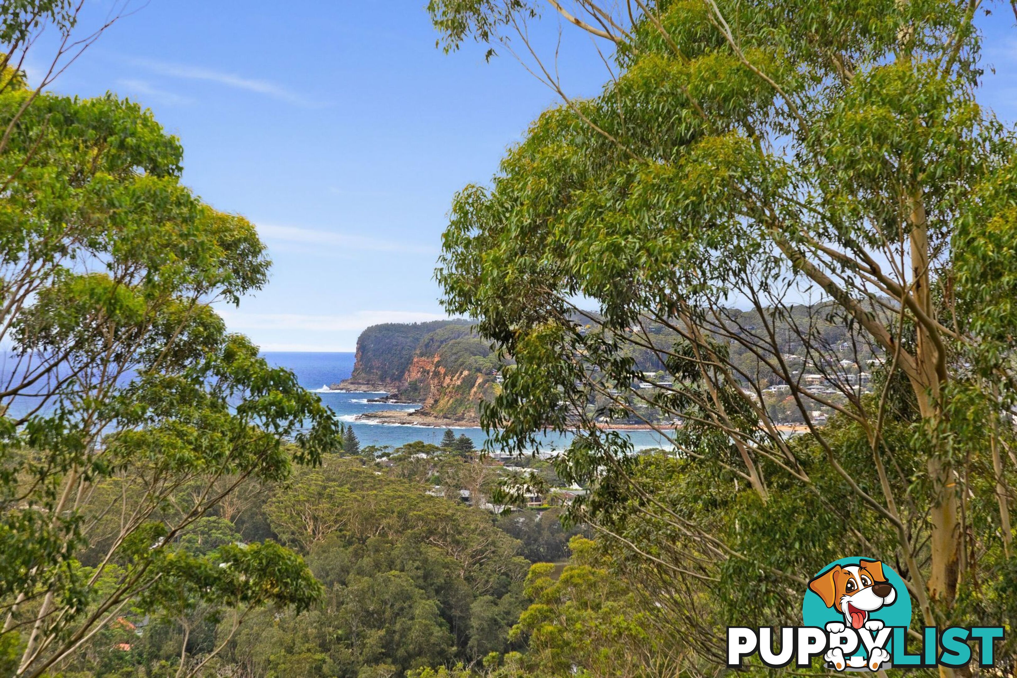 194 Scenic Highway TERRIGAL NSW 2260