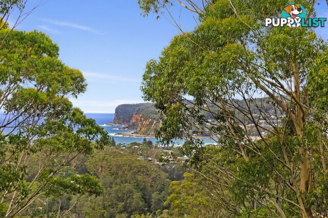 194 Scenic Highway TERRIGAL NSW 2260