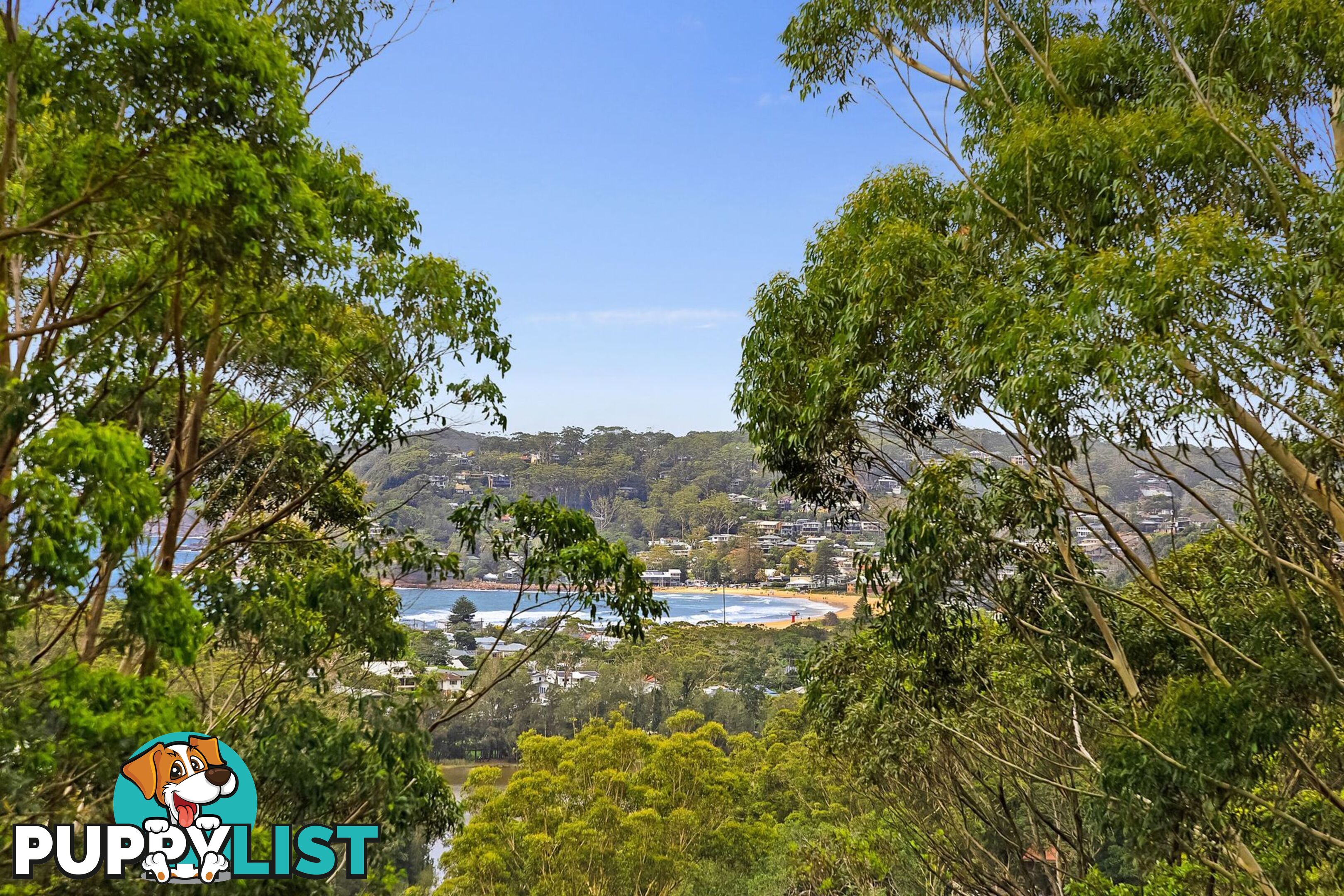 194 Scenic Highway TERRIGAL NSW 2260