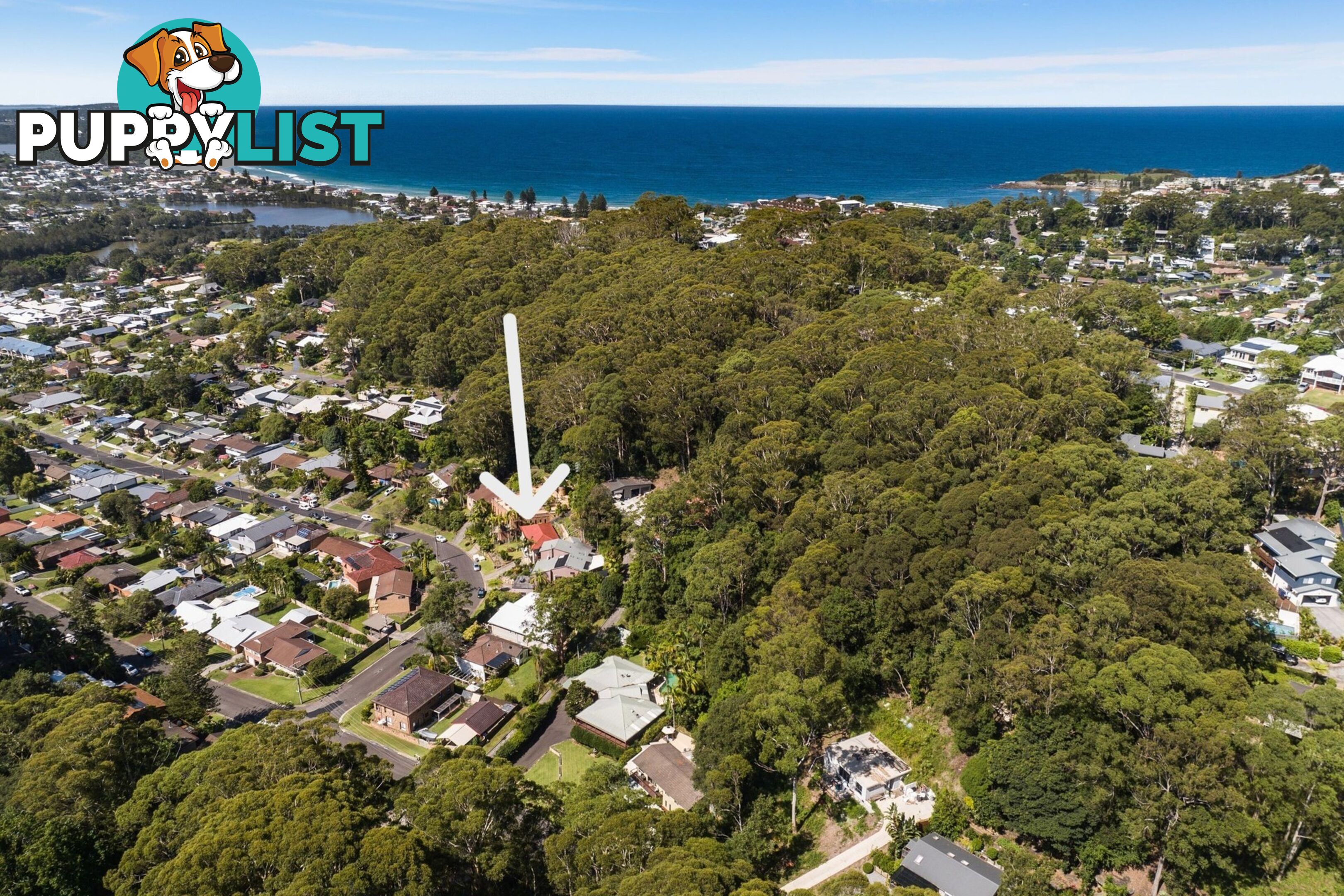 49 Ashley Avenue TERRIGAL NSW 2260