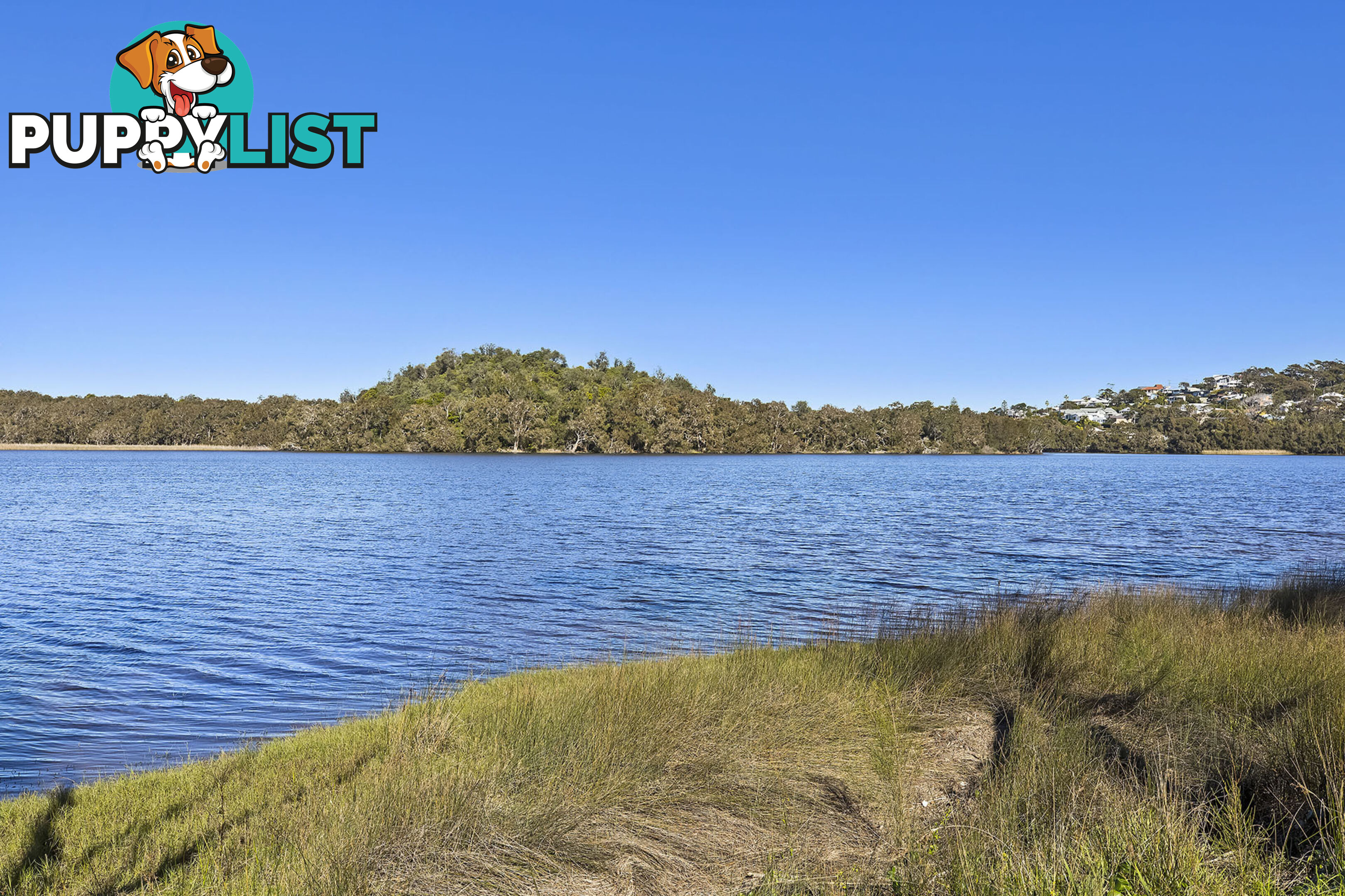 98 Blue Bell Drive WAMBERAL NSW 2260