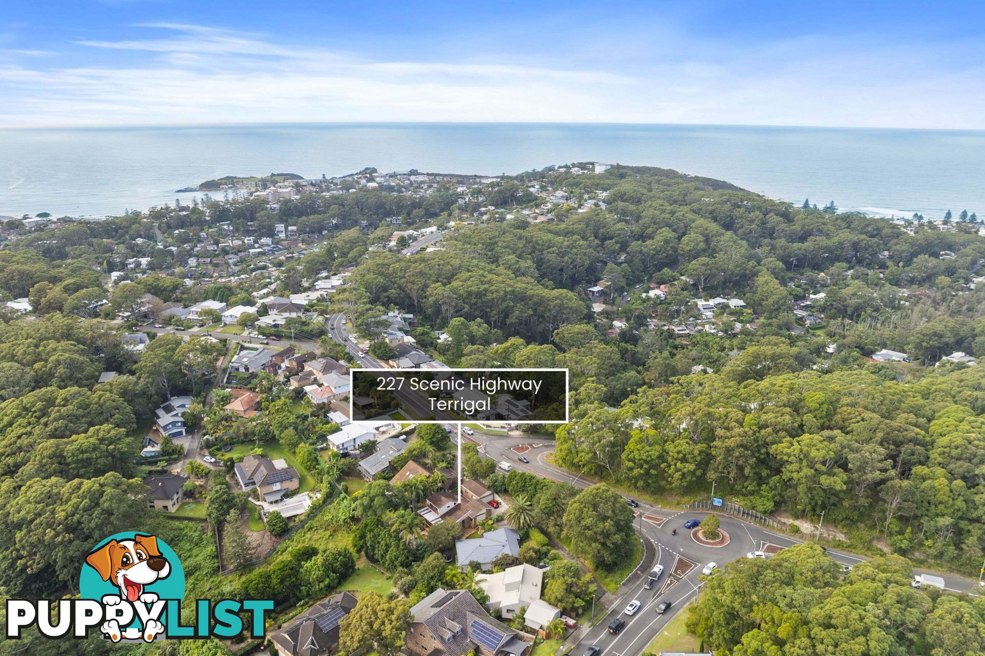 227 Scenic Highway TERRIGAL NSW 2260