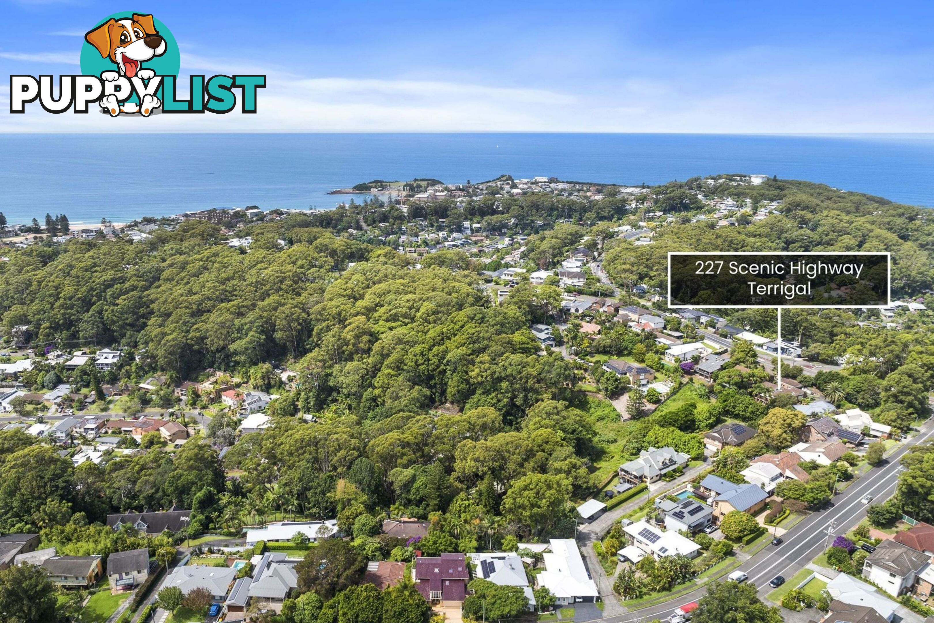 227 Scenic Highway TERRIGAL NSW 2260