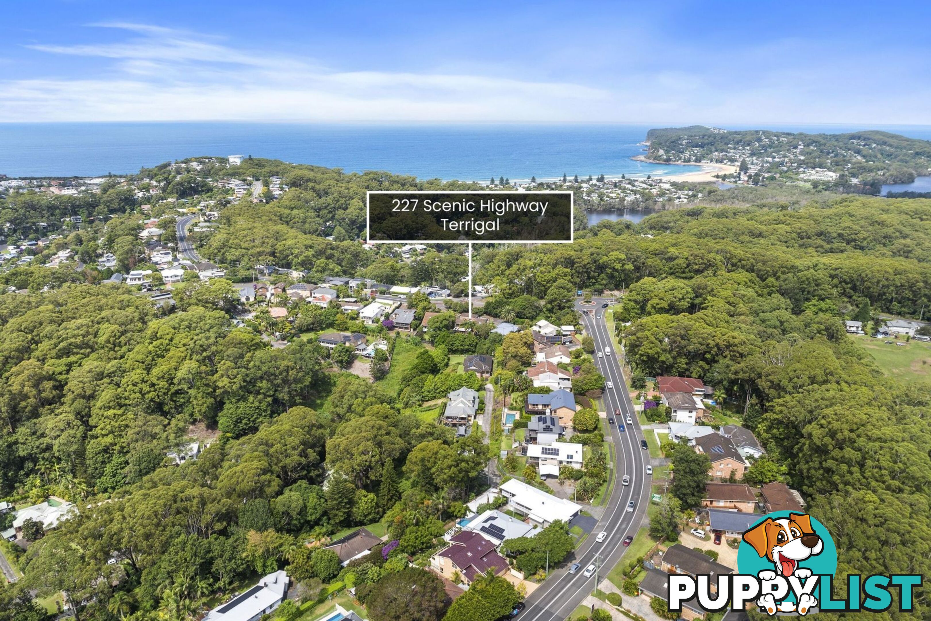 227 Scenic Highway TERRIGAL NSW 2260