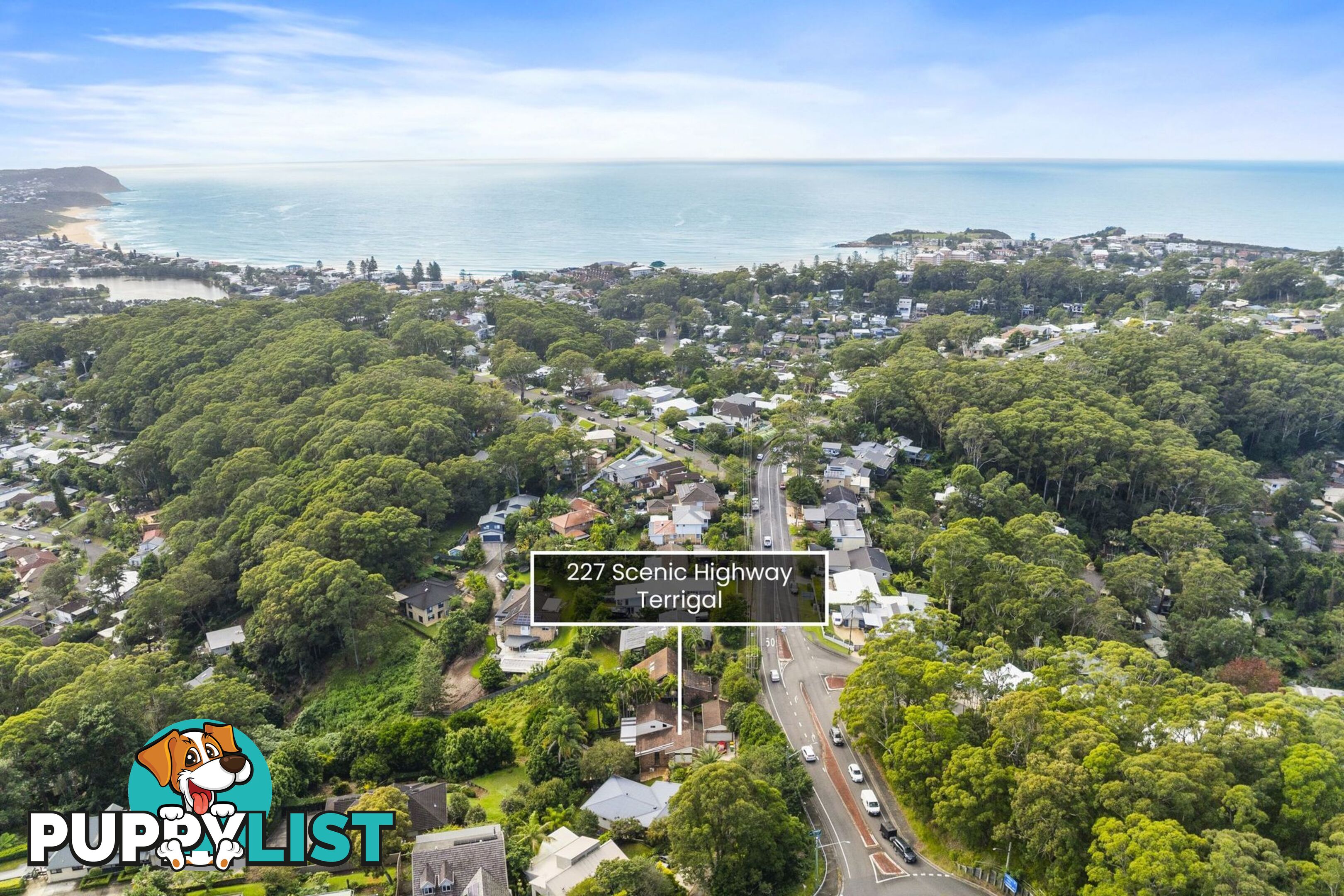 227 Scenic Highway TERRIGAL NSW 2260