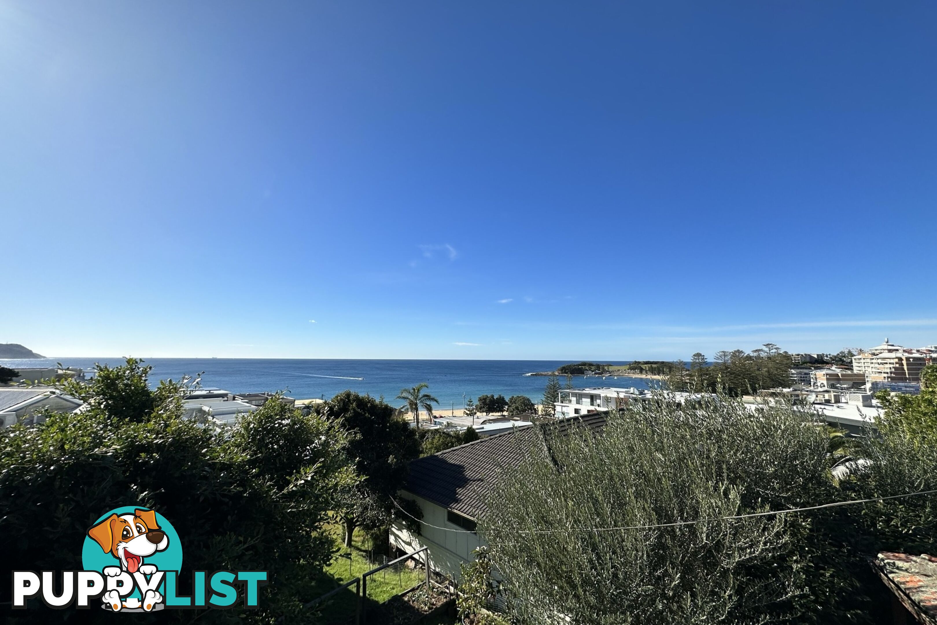 21 Painters Lane TERRIGAL NSW 2260