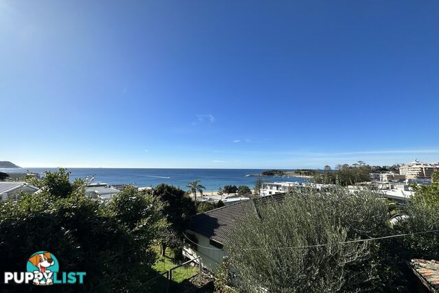 21 Painters Lane TERRIGAL NSW 2260