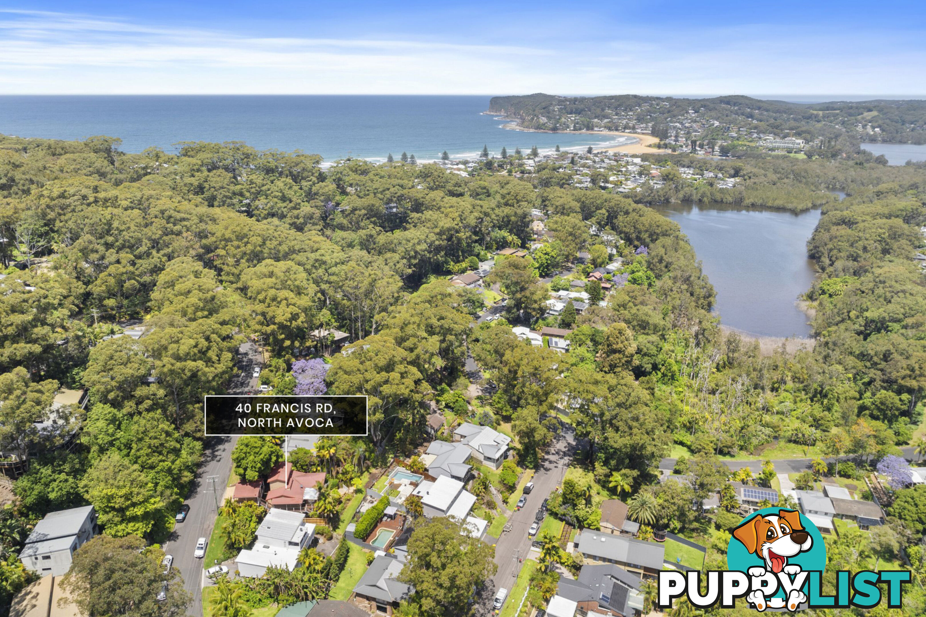 40 Francis Road NORTH AVOCA NSW 2260