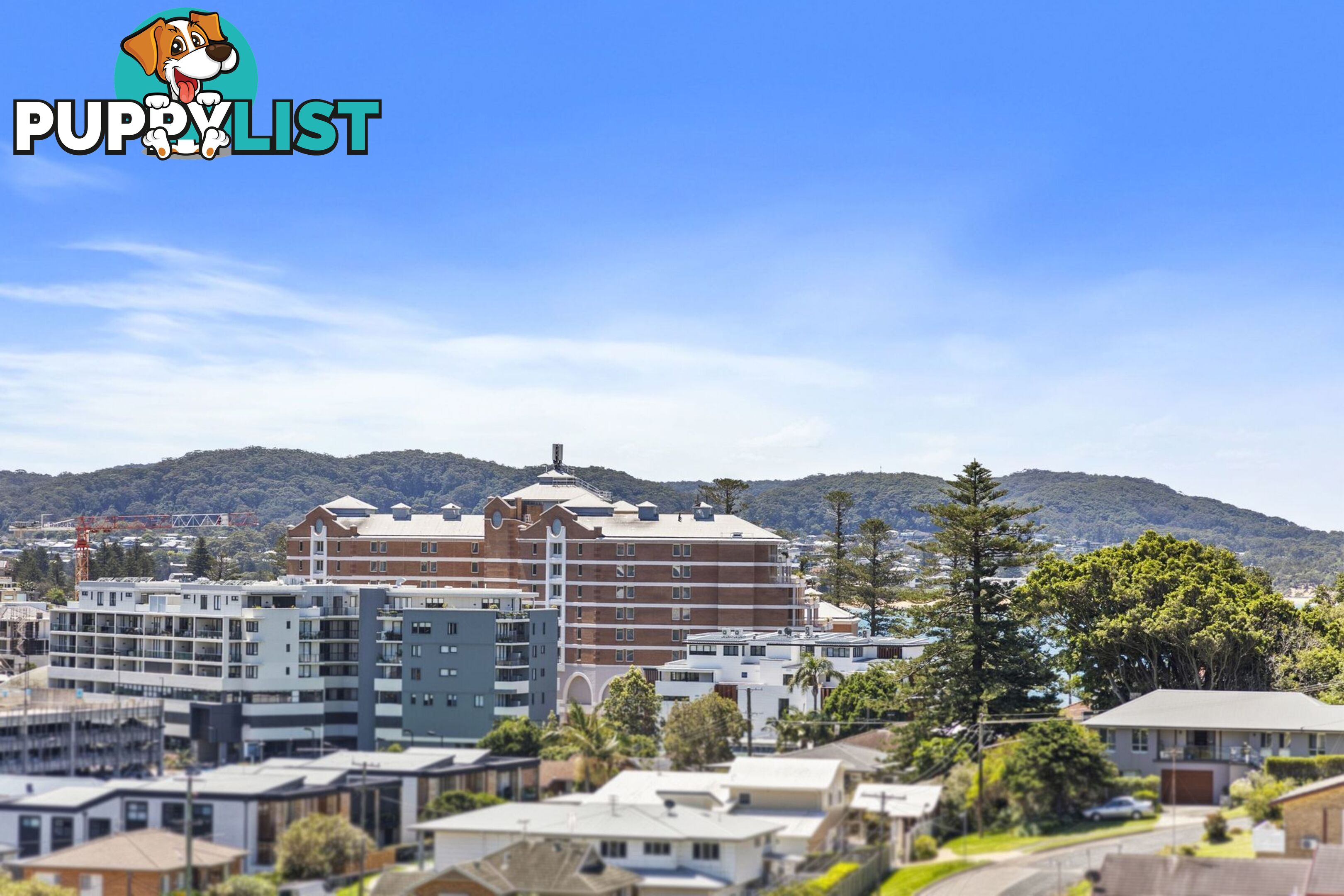 1/65 Scenic Highway TERRIGAL NSW 2260