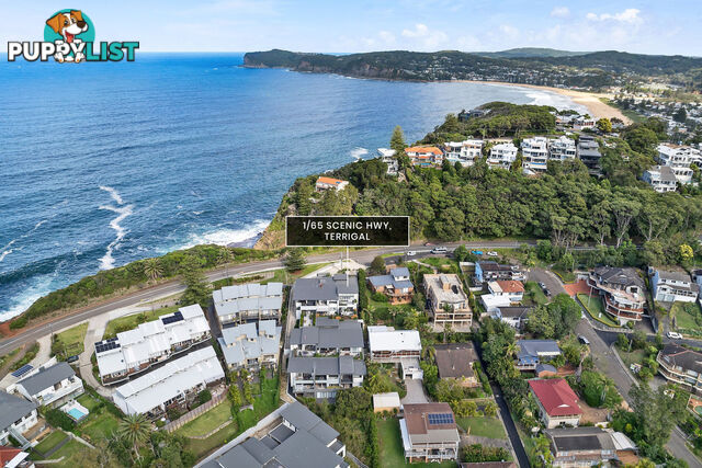 1/65 Scenic Highway TERRIGAL NSW 2260